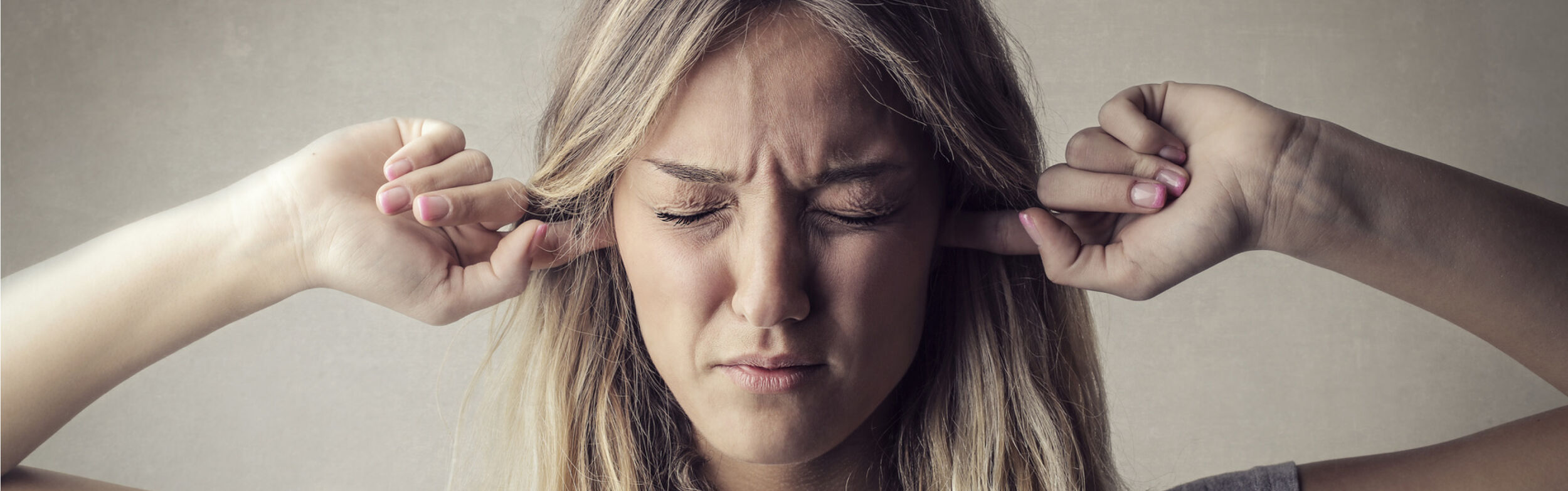 Schalldämmende Sandwichelemente